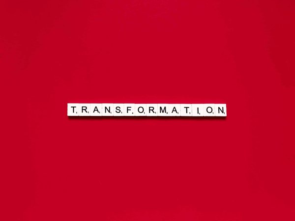 How Can You Convert a Closet into a Mini Home Library with a Reading Nook?