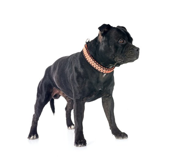 Stylish headbands for women and kids: your ultimate guide